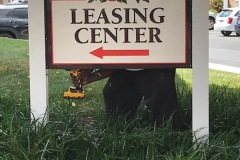 Worker Installing Community Signs In Philadelphia
